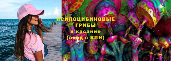сатива Баксан