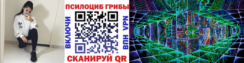 Псилоцибиновые грибы мицелий  Урай 